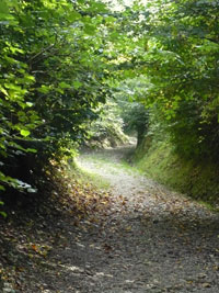 Hohlenweg bei Sumerhus