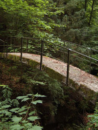 Brcke in der Tubelochschlucht