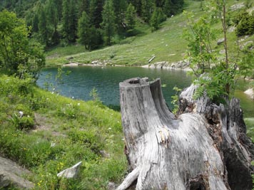Lötschental - Schwarzsee