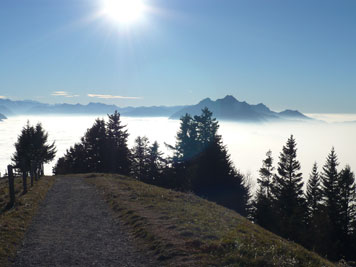 Aussicht von der Rigi