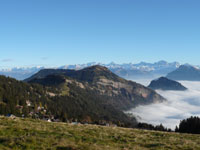 Rigi